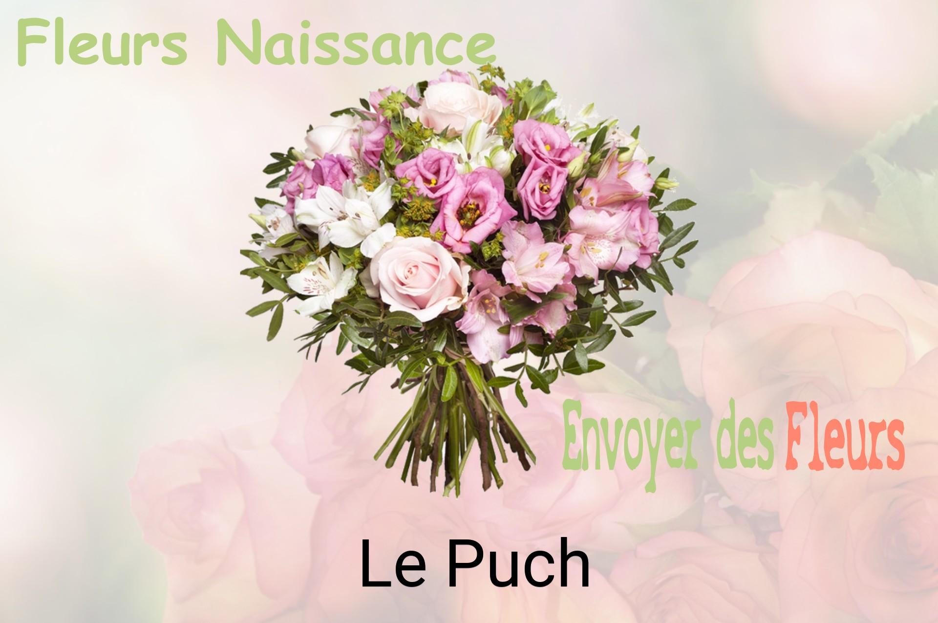 Bouquet de fleurs de naissance livré à Le Puch