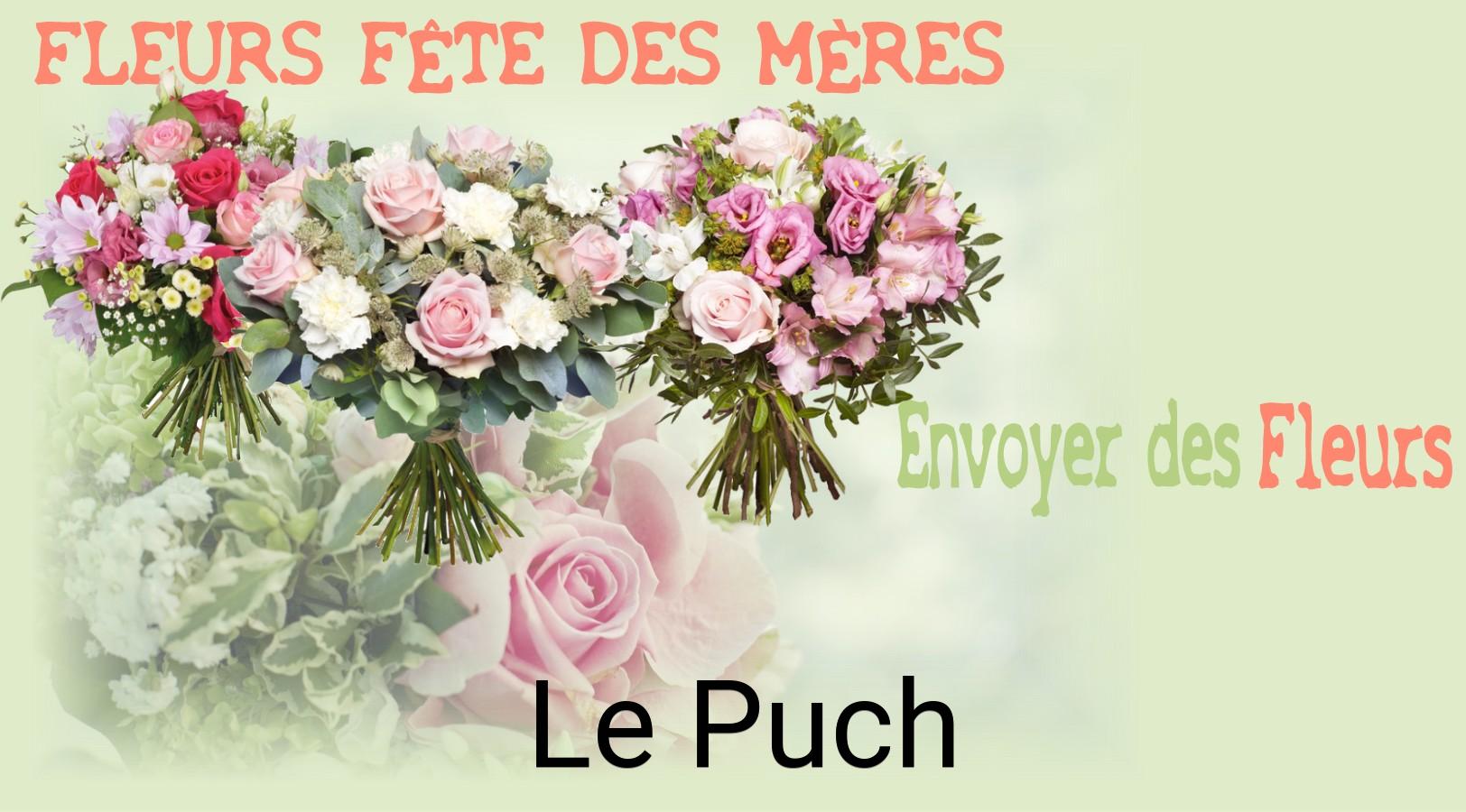 Bouquet de Fête des Mères livré à Le Puch